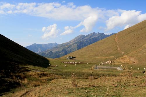 Le Clos de l'Alpe